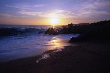 l''altra poesia